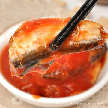 Meilleures sardines en conserve à la sauce tomate de bonne qualité